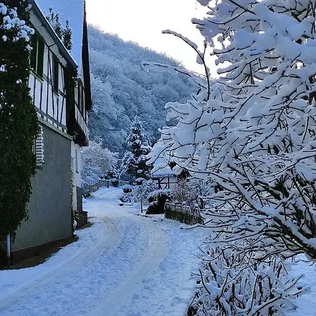 Ferienwohnung 'Unter Der Burg' Brodenbach Exterior photo