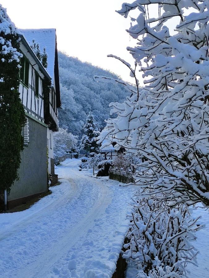 Apartment 'unter Der Burg' *